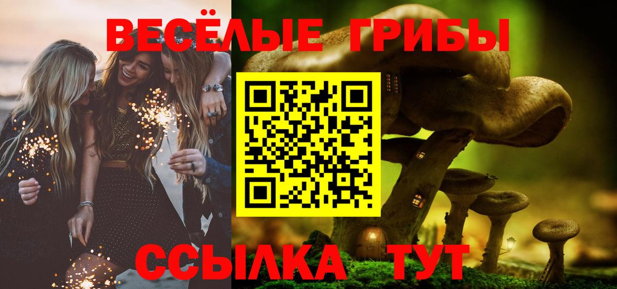 Псилоцибиновые грибы Magic Shrooms  Галлюциногенные грибы мухоморы  где можно купить   Мичуринск  Вход с VPN 